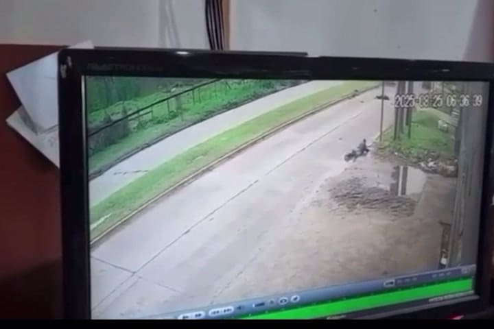 (GIF) Brutal atropello en La Plata