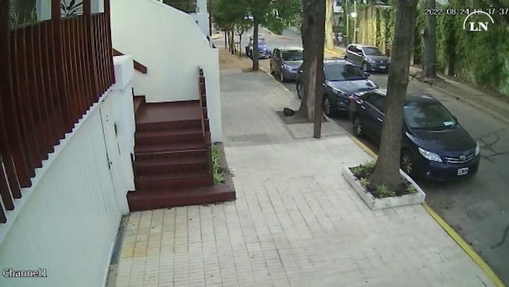 Los vídeos clave en la investigación