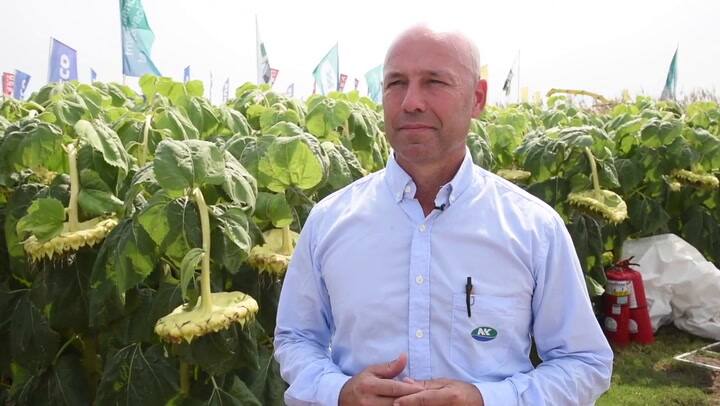 Expoagro 2020 - Francisco Perez Brea, gerente de Marketing de NK