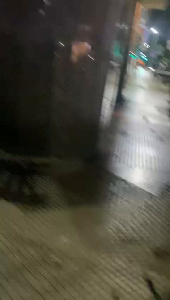 Whatsapp Video 2024-10-11 At 07.28.32