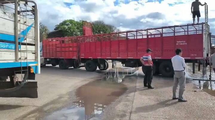Algunos los trasladan en barcazas