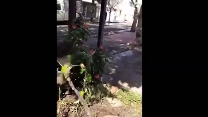 un colibrí en acción sobrevuela un chorro de agua