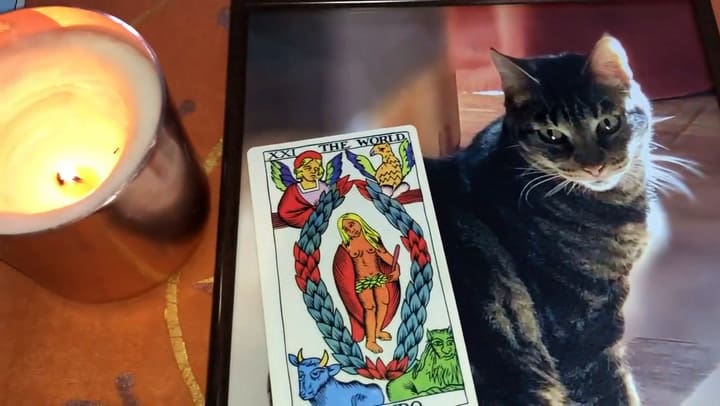Horóscopo: signo por signo, las predicciones de Jimena La Torre para la semana del 14 al 18 de junio