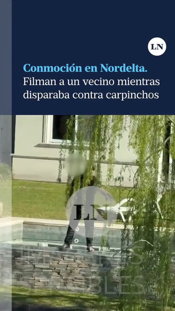 Conmoción En Nordelta Filmaron A Un Vecino Mientras Disparaba A Un Grupo De Carpinchos
