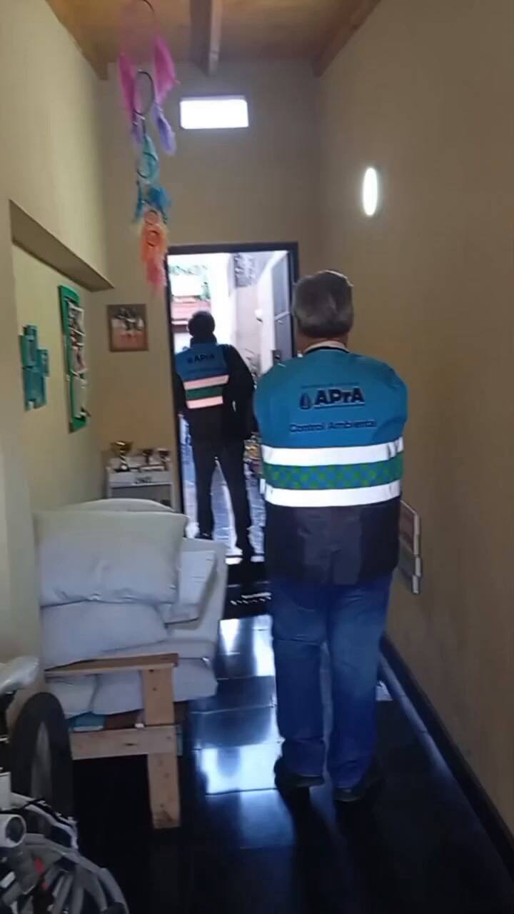 Criadero ilegal de perros en Villa Luro