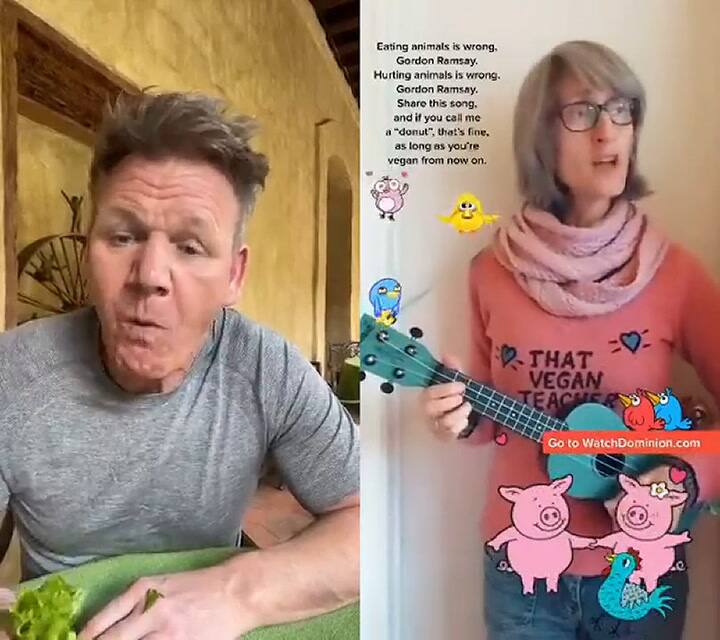 Gordon Ramsay se comió una hamburguesa delante de una vegana - Fuente: TikTok @gordonramsayofficial