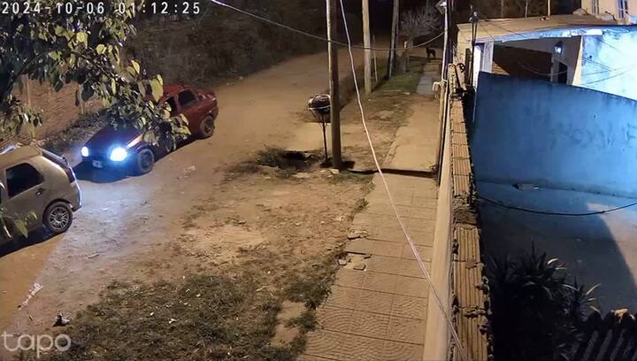 Auto-merlo2