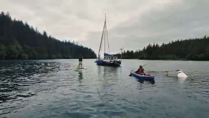 Nikki, la mujer de 77 años que vive sola en un velero desde hace 44 años