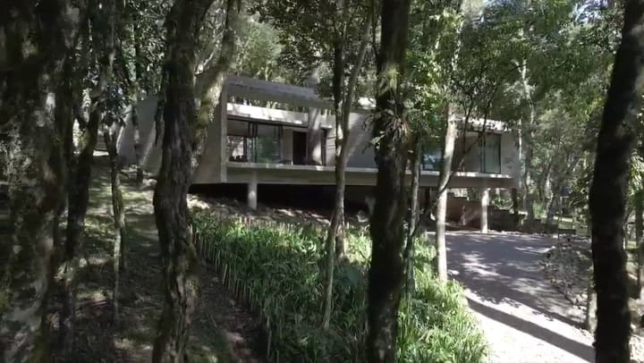 Casa Fortunata. Habitar el bosque