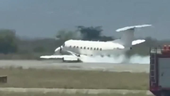 Una avioneta con 30 pasajeros chocó y mató a una cebra en Tanzania durante el despegue