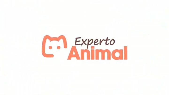 Especialistas como los de Experto Animal aclaran los factores detrás de esta problemática con tu gato