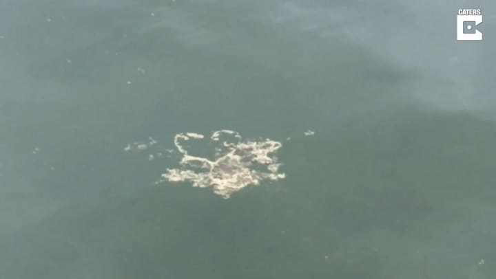 Encuentran una misteriosa mancha con forma de corazón en la superficie del mar