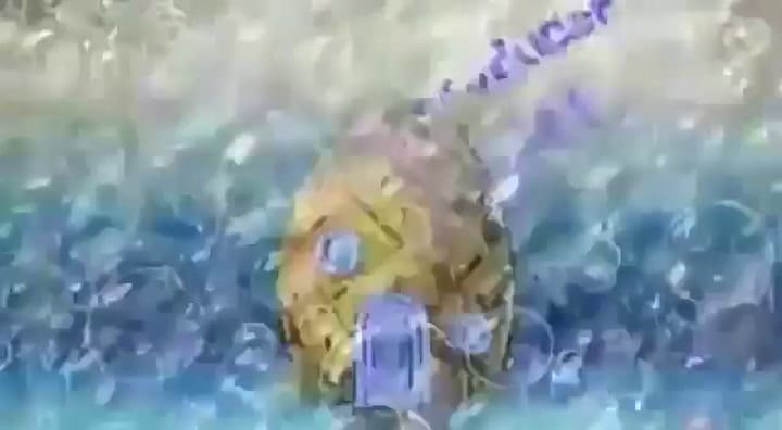 Bob Esponja, 'Cuidando la casa de Arenita' - Fuente: YouTube