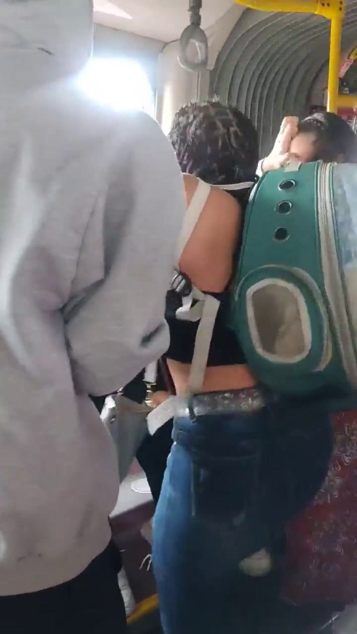 La pelea en el colectivo que se volvió viral