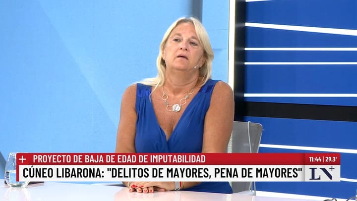 Gabriela Persichini, exjueza de Garantias de San Martin