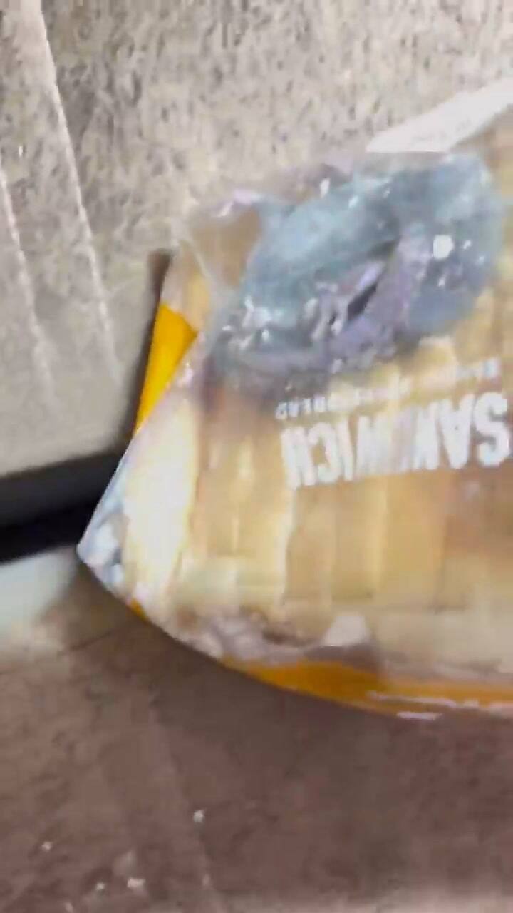 En el video se muestra al roedor al interior de la bolsa de pan