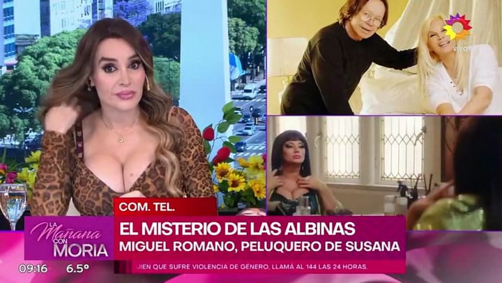 Cómo funcionaba el insólito negocio del pelo albino para las extensiones de Susana Giménez