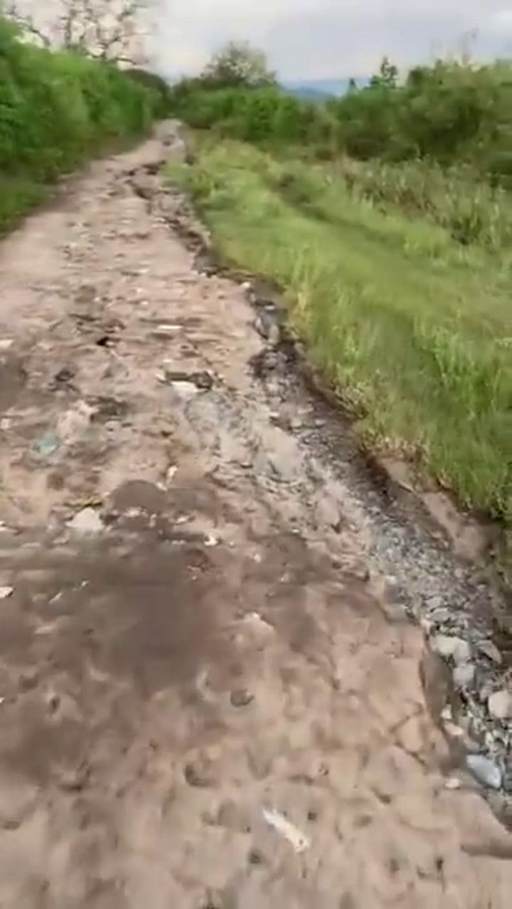 Video 3