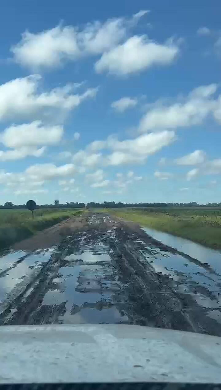 Video Ok