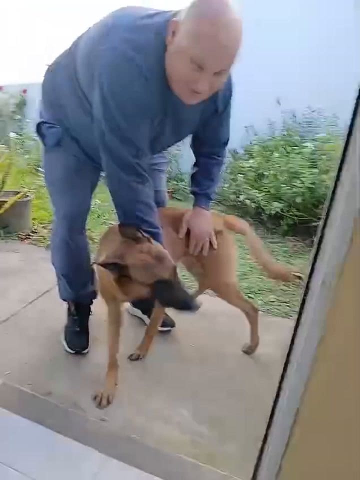 En una publicación que Regonat hizo luego de haber encontrado a Roco, agregó un video en el que acaricia a su perro