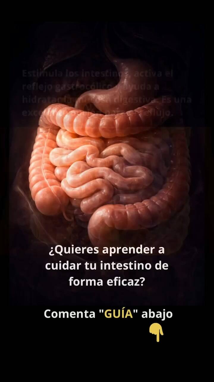Beber agua en ayunas sirve para cuidar tu intestino - @intestino.sano1