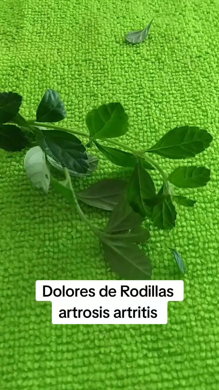 Natturalsoy 7380015563503947014