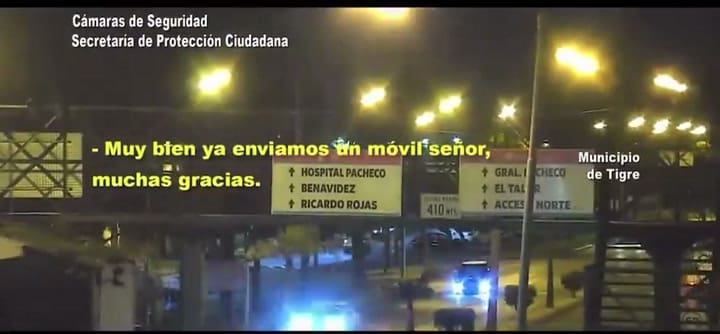 Tigre suicidio
