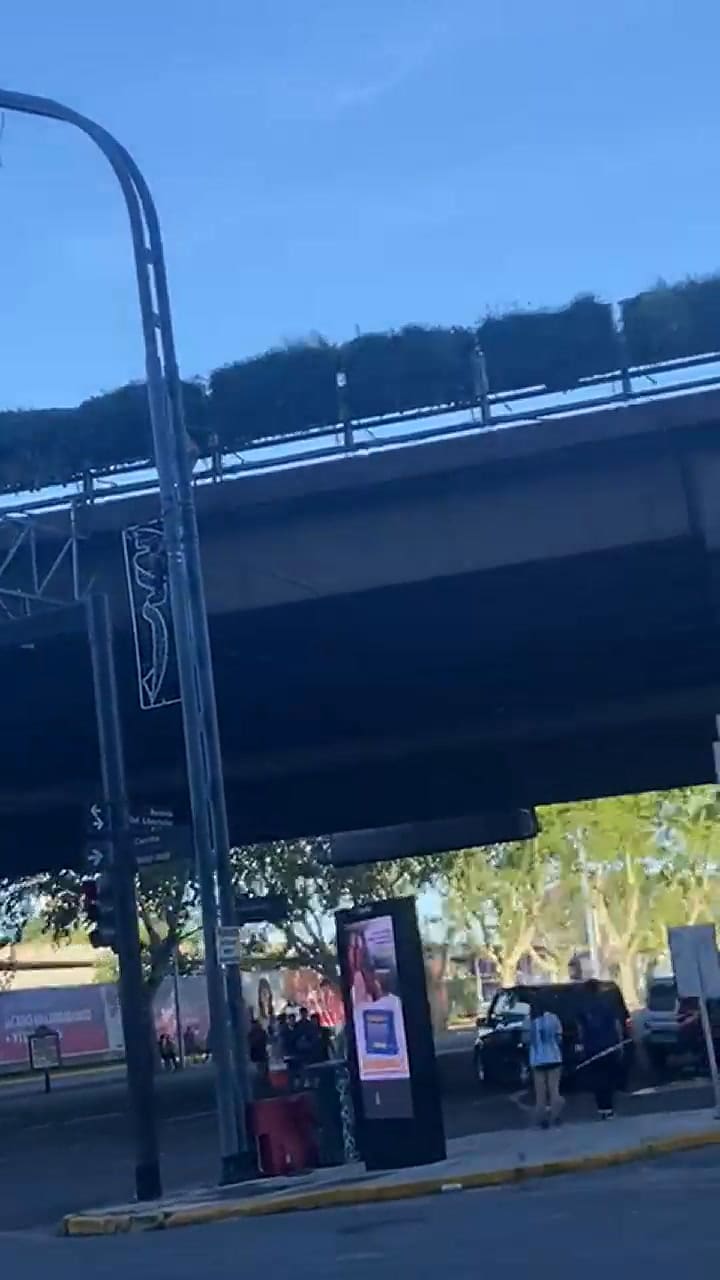 Un hombre cayó de una autopista en medio de los festejos por Argentina Campeón dle Mundo