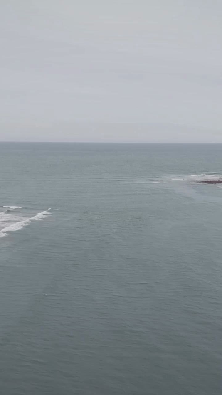Se retiró el agua en Mar del Plata y emergió una llamativa “isla” frente al faro de Punta Mogotes: de qué se trata
