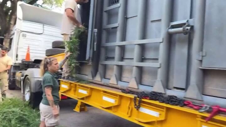 La elefanta Pupy del ecoparque, lista para viajar a un santuario
