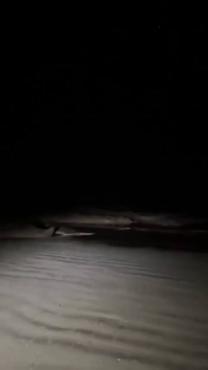 Ecuatorianos graban cómo el mar se retira en una playa de Galápagos