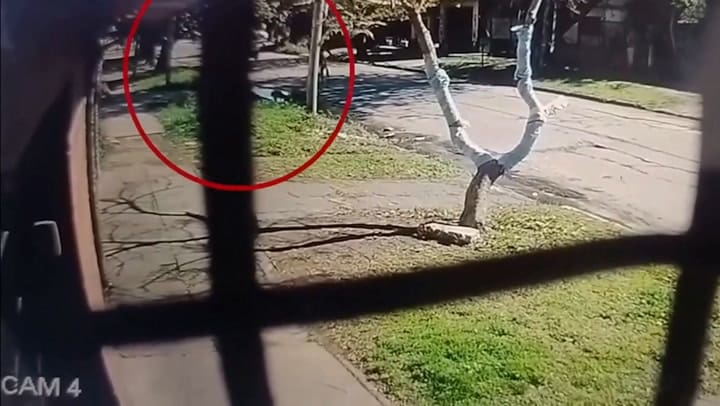 Un ciclista resultó gravemente herido al ser atropellado adrede por un automovilista: son conocidos