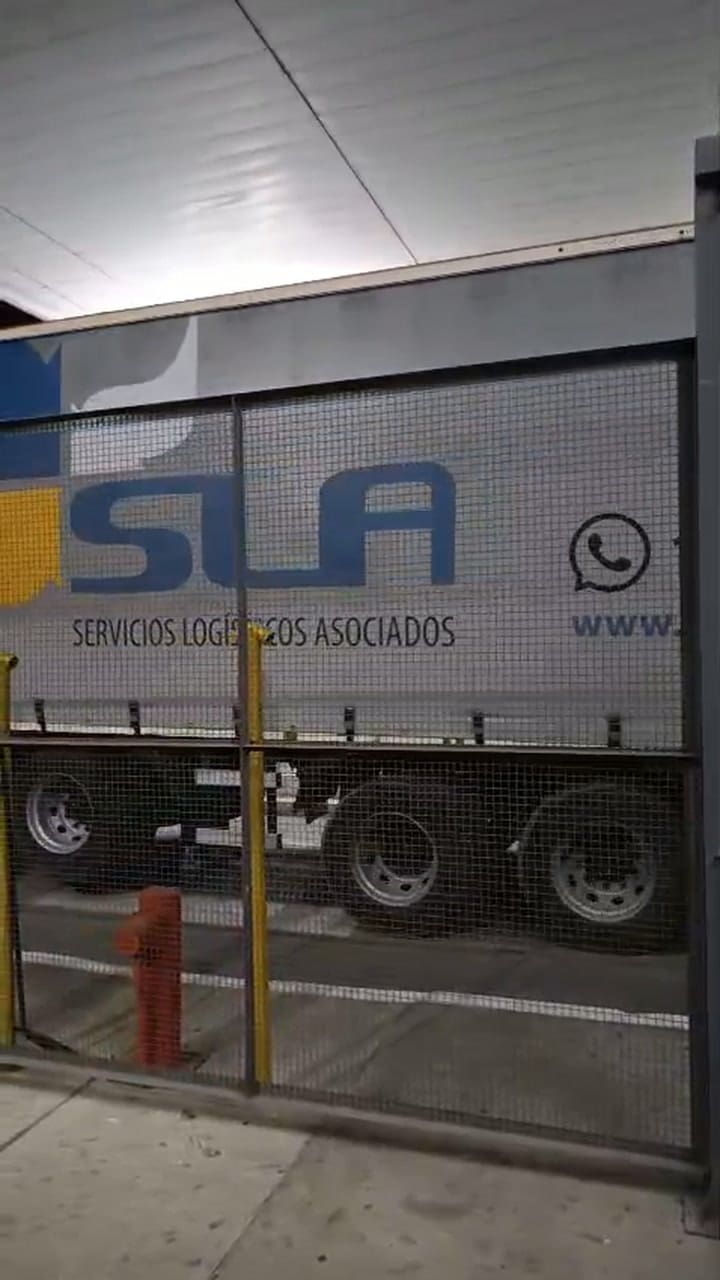 El arribo de los grandes felinos al aeropuerto Internacional de Ezeiza, desde donde volarán a dos santuarios