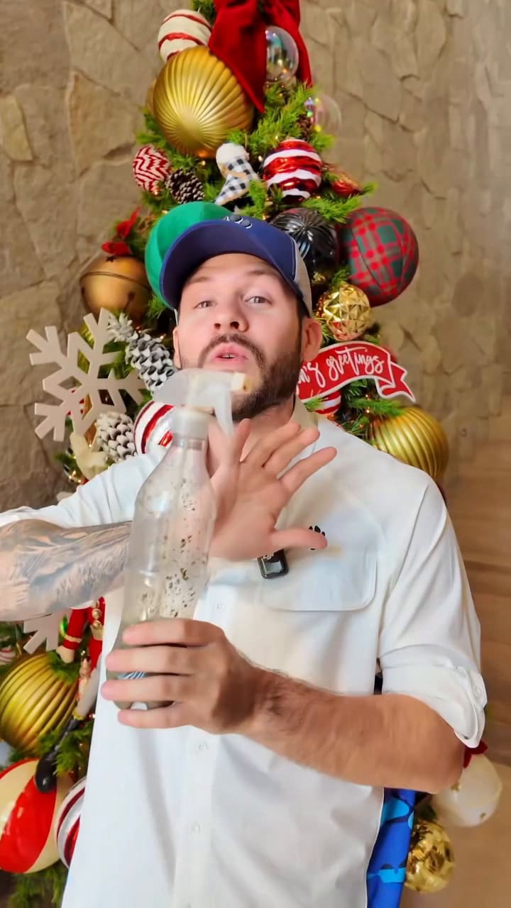 ¿Cómo evitar que tu gato destruya el árbol de Navidad? El secreto de un adiestrador experto