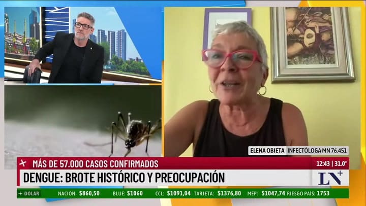 Dengue Brote Histórico Y Preocupación. El Análisis De La Infectóloga Elena Obieta