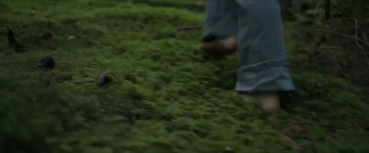 Trailer de Border - Fuente: YouTube