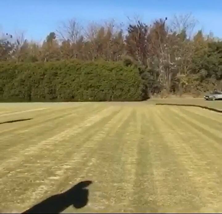 Messi jugando al polo en el campo de Cambiasso, parte 1