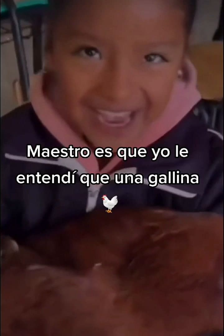 Se confundió sobre la tarea y causó cientos de risas