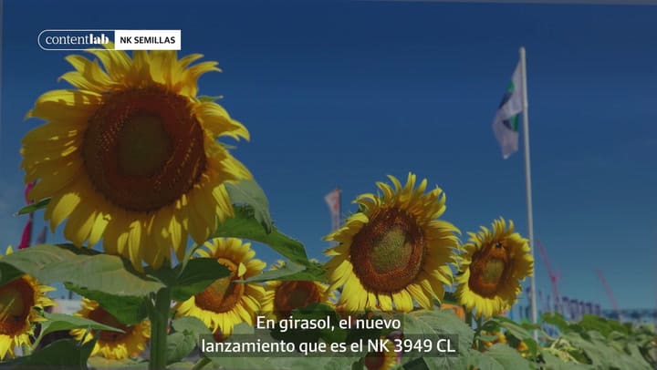 NKsemillas Web V5