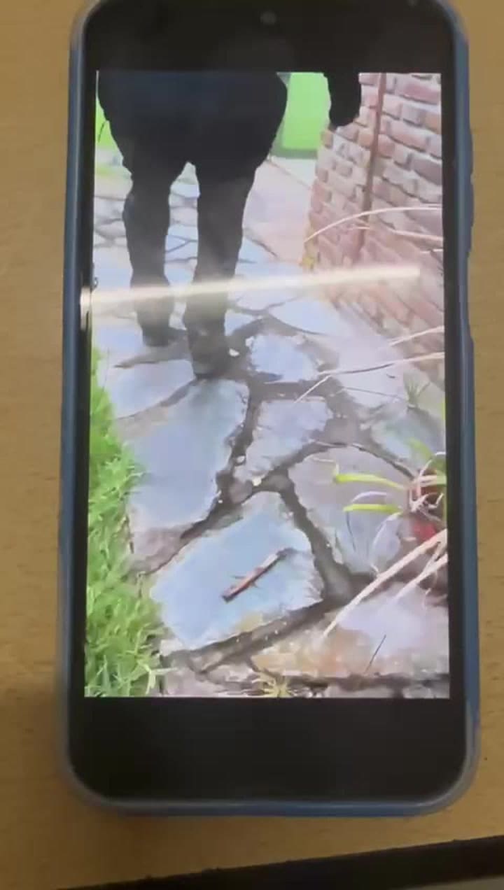 El video que comprueba la inteligencia previa que hace la banda del Millón