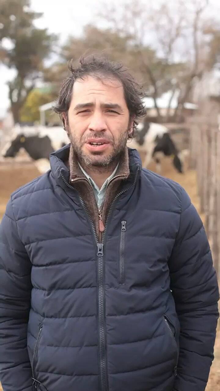 El lamento de un tambero por la venta de sus vacas lecheras