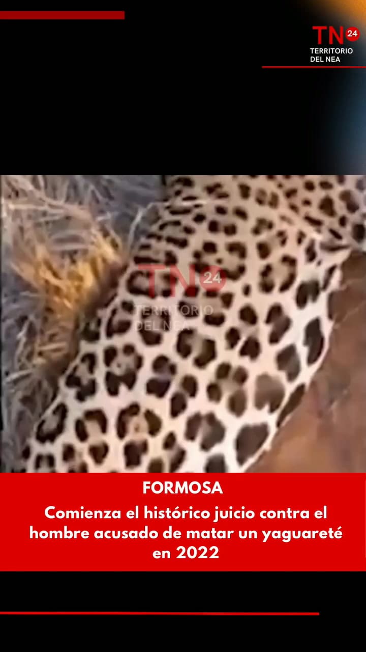 Carlos Chagra persiguió y mató a un yaguareté y lo exhibió en redes: fue condenado