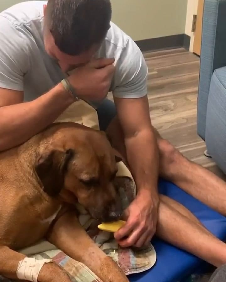 La emocionante despedida de un jugador a su perro que se hizo viral.