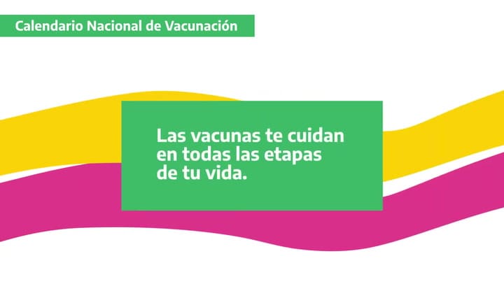 ¿Ya Conocés El Calendario Nacional De Vacunación