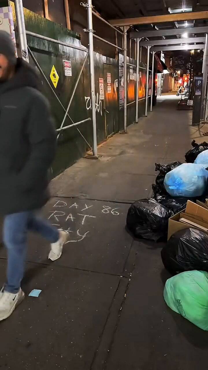 Se hizo famoso por publicar videos de ratas en Nueva York