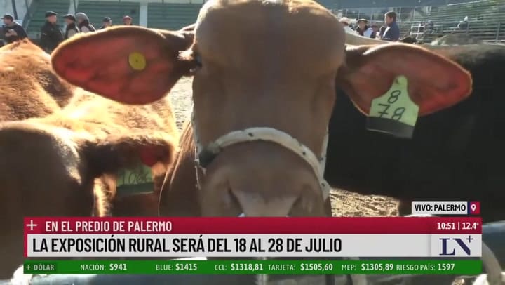 Y2meta.app-desde El Jueves, La Expo Rural 2024 Participarán 15 Provincias Y Más De 2000 Animales-(720p)