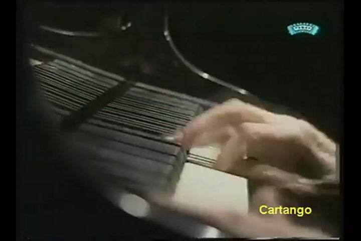 Gallo Ciego