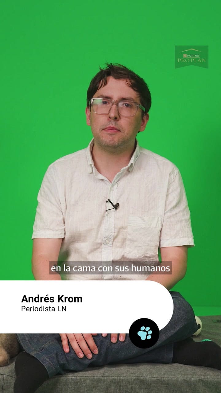 Huellitas: mitos