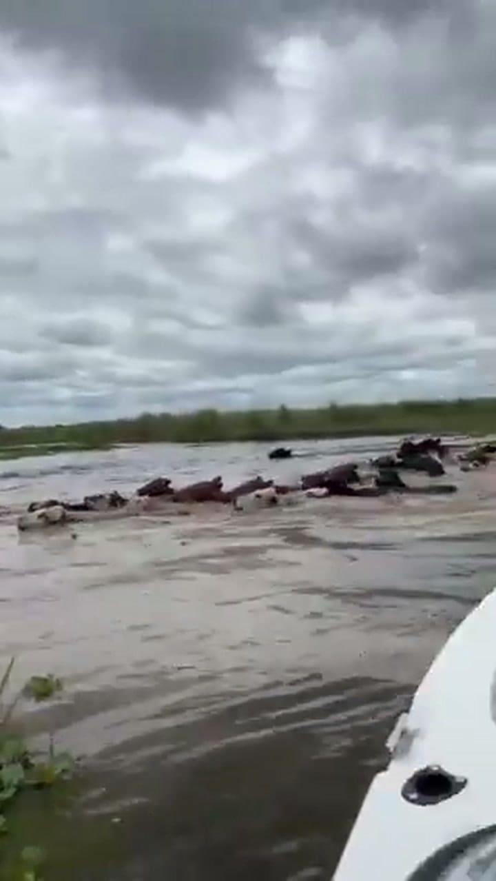 Efecto de las inundaciones en San Javier, Misiones