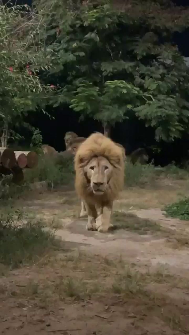 La recorrida de Lionel Messi por India
